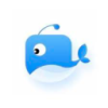 Cetacean 